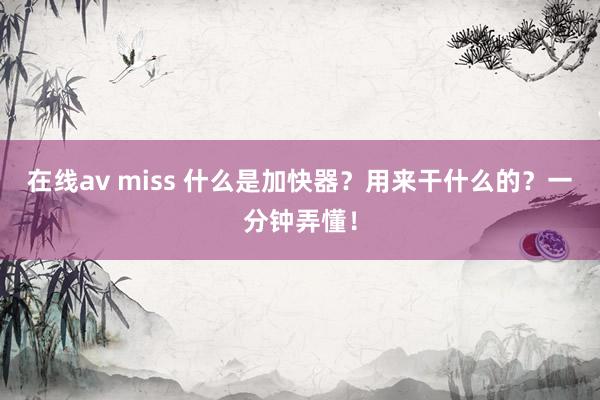 在线av miss 什么是加快器？用来干什么的？一分钟弄懂！