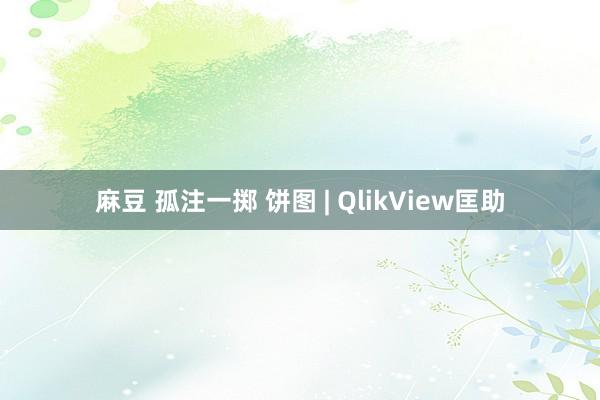 麻豆 孤注一掷 饼图 | QlikView匡助