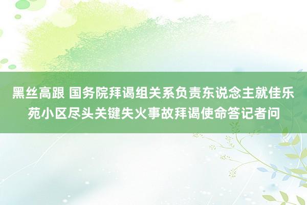 黑丝高跟 国务院拜谒组关系负责东说念主就佳乐苑小区尽头关键失火事故拜谒使命答记者问