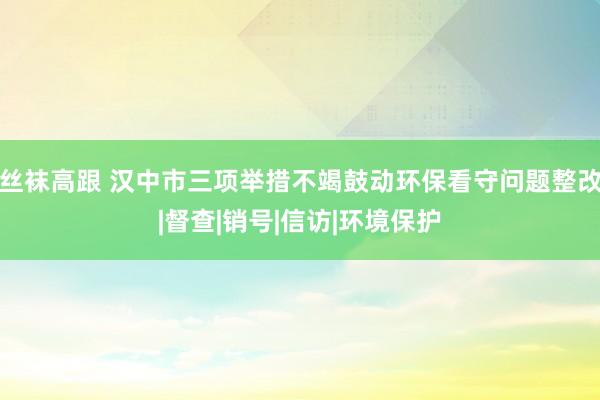 丝袜高跟 汉中市三项举措不竭鼓动环保看守问题整改|督查|销号|信访|环境保护