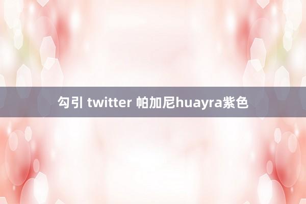 勾引 twitter 帕加尼huayra紫色