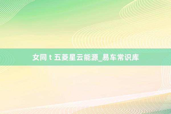 女同 t 五菱星云能源_易车常识库